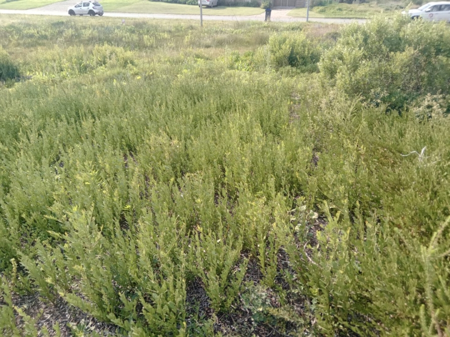 Commercial Property for Sale in C Place Eastern Cape